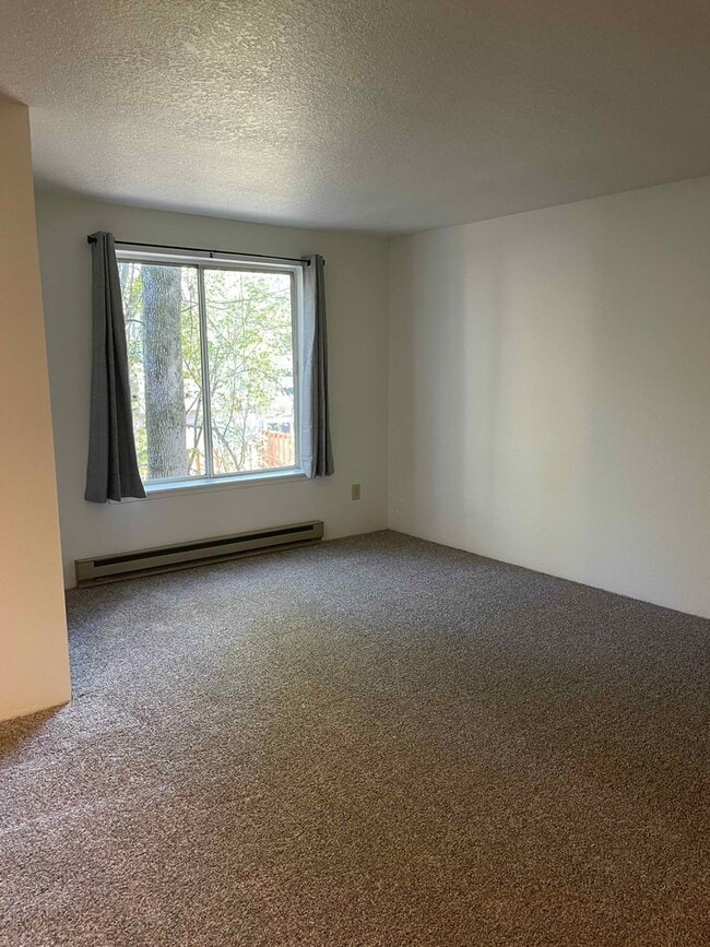 Photo - First Full Month's Rent Free! Bright and Airy One Bedroom Condo - Water, Sewer & Trash Covered!
