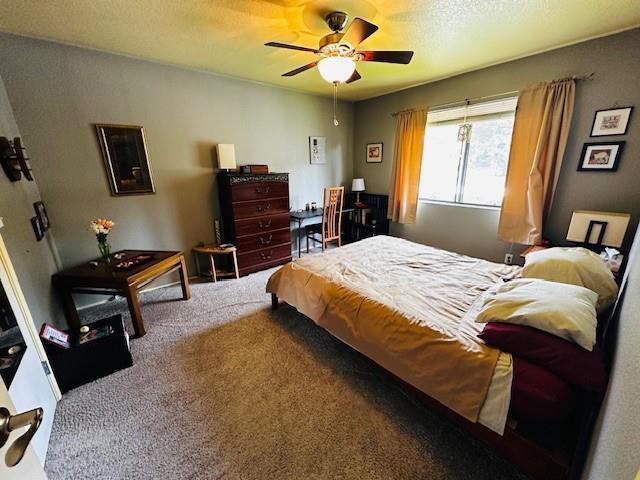 Photo - 900 Cambridge Dr