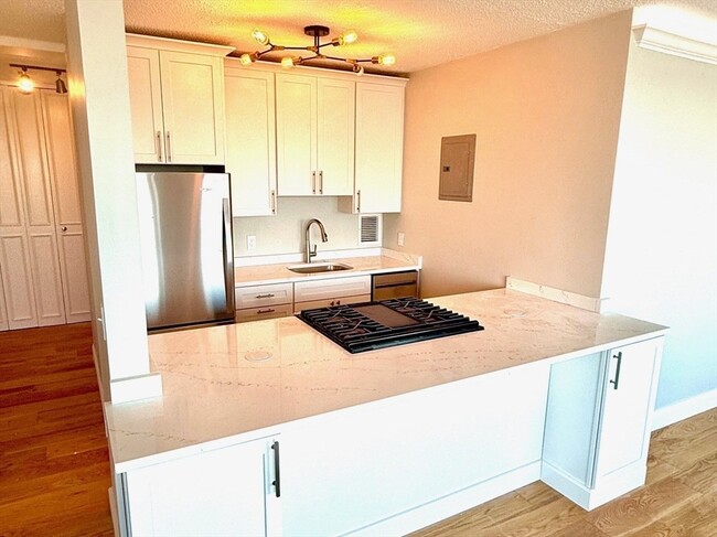 Photo - 85 E India Row Condo Unit PH H