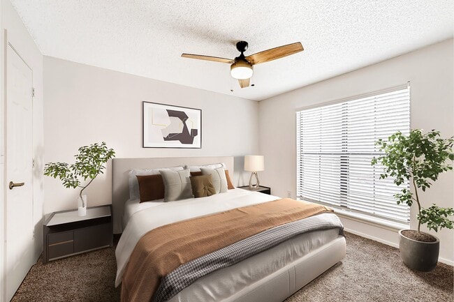 Photo - Canyon Chase