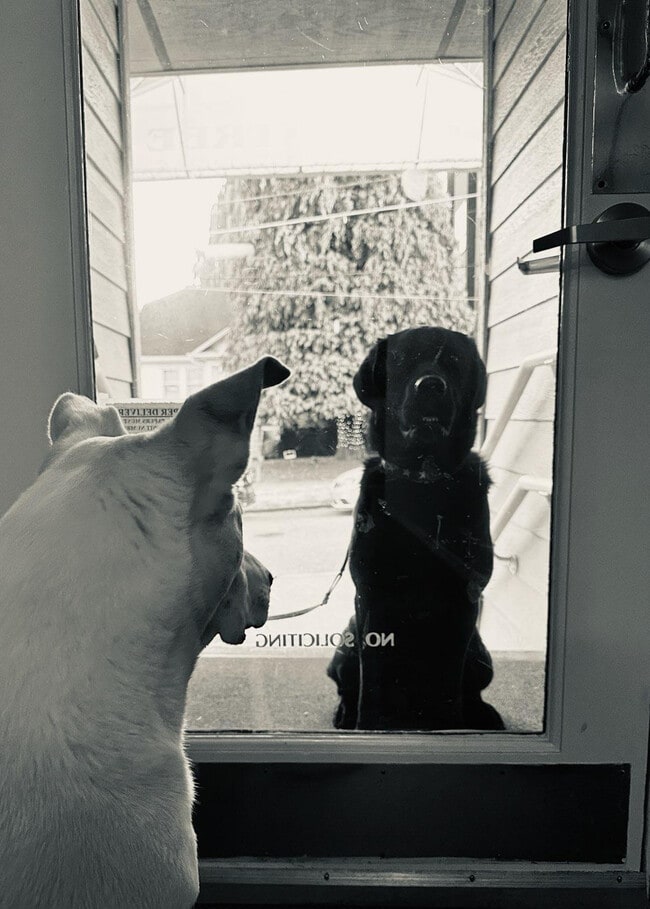 Photo - 7100 Greenwood Ave N Unit 207