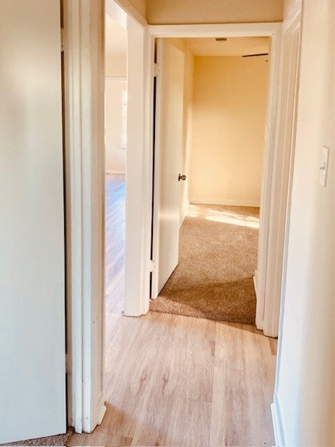 Photo - 1214 Des Jardines St