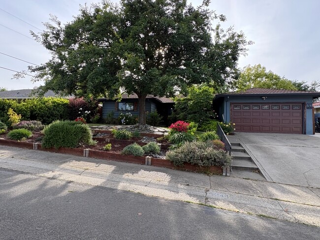 Building Photo - 6048 Holstein Way