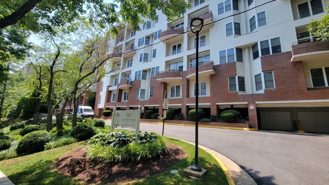 Building - 301 S Reynolds St Unidad 600 Rental