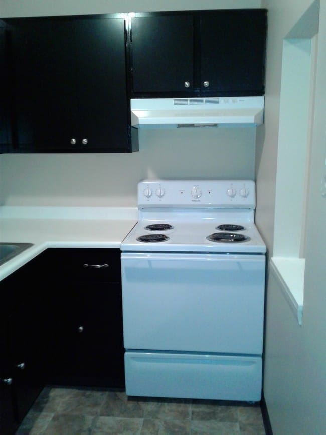 Stove and Range hood