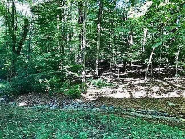 Photo - Spacious 3100 sq ft 3 bedroom 2 bath home on over 1.5 acres in Oak Ridge, NC