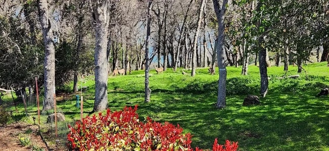 Empty lot next door - 2844 Marina View Dr