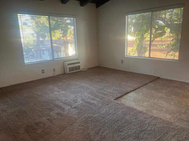 Photo - Archibald-7781