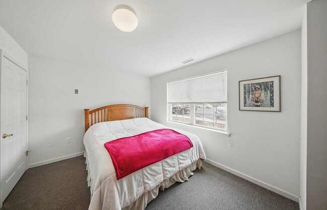 Photo - Ulster Gardens