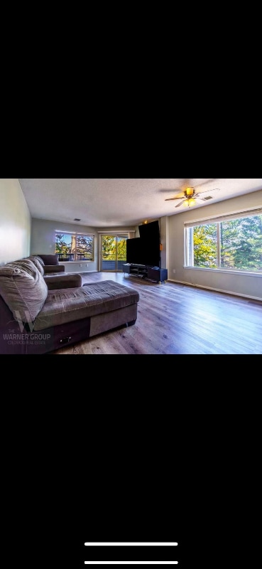 Building Photo - 3684 Iguana Dr Rental