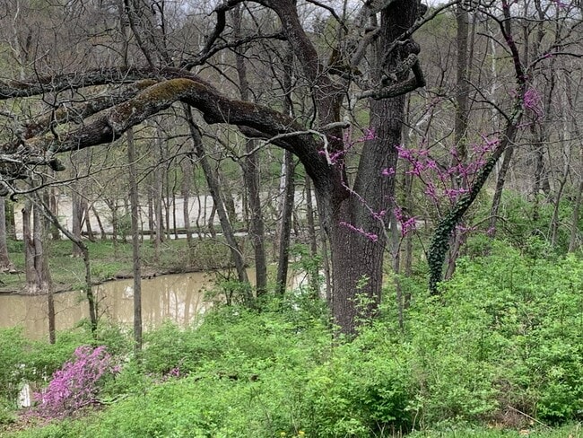 Photo - 7049 Riverside Dr