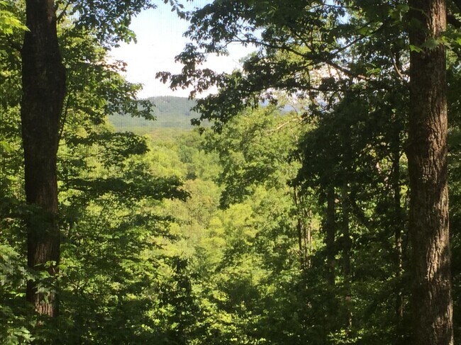 Photo - 4 Granny Hughes Rd