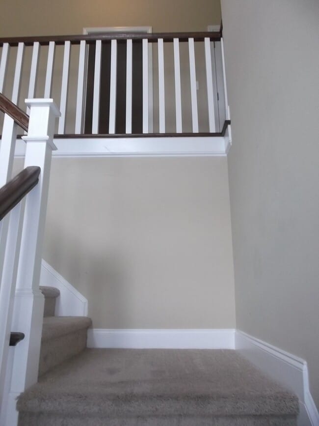 Photo - Absolutely Gorgeous!