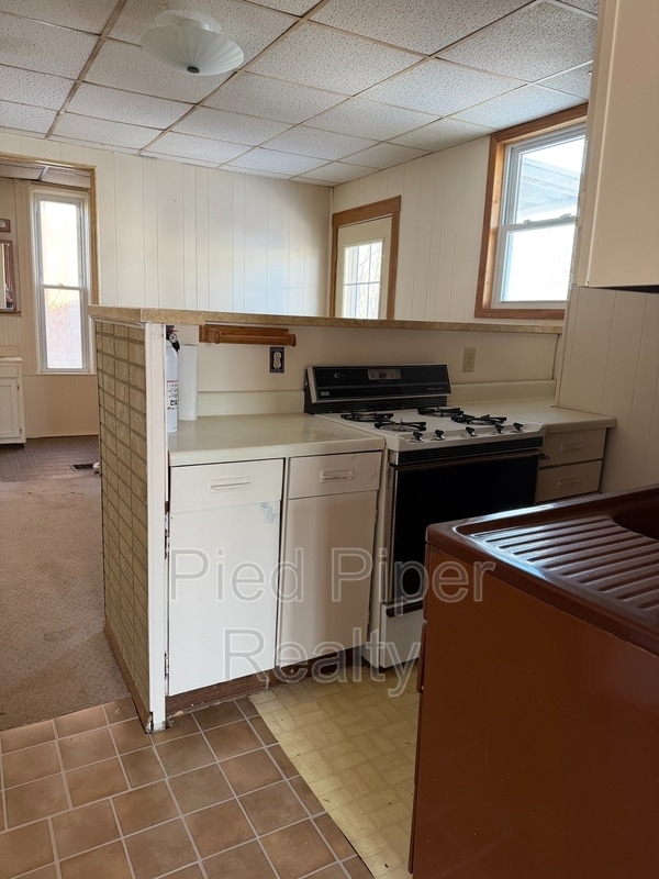 Photo - 1219 S Chicago Ave