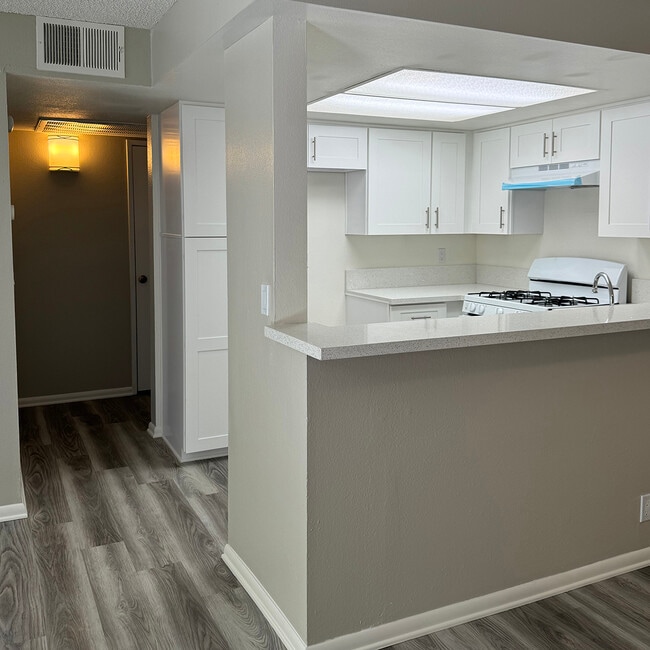 Renovated Kitchen