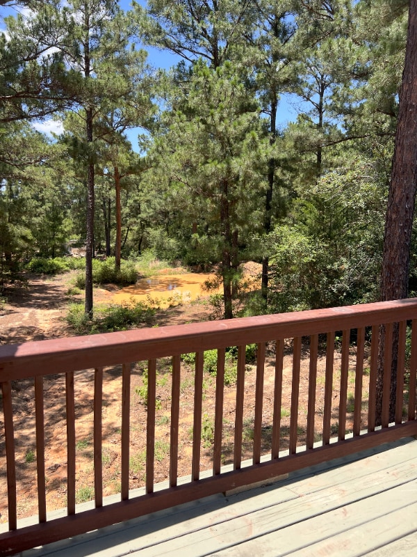Building Photo - 491 Pine Canyon Dr Rental