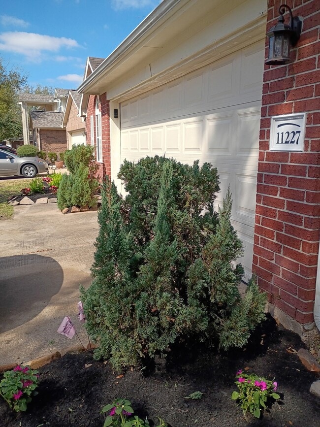 Photo - 11227 Agave Ridge Ln