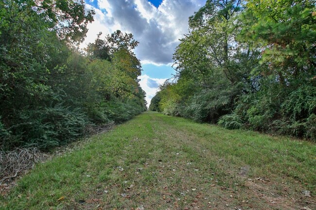 Building Photo - 21035 Summer Trace Ln