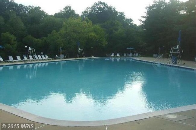 Olympic size pool - 15702 Dorset Rd Condo Unit 201