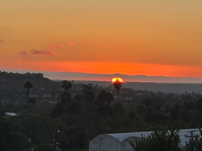 Photo - 315 Osborne St