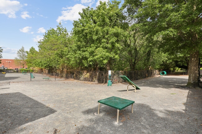 Banyan Grove