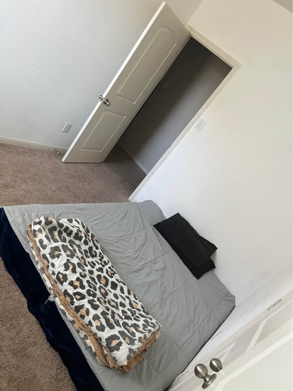 Photo - 1001 Liberty Meadows Dr