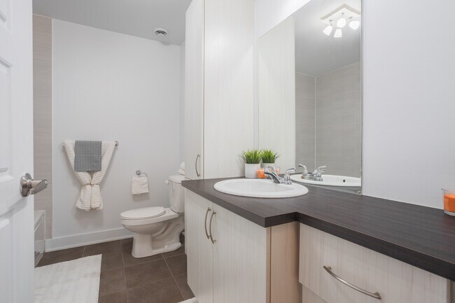 Photo - Les Berges du Canal