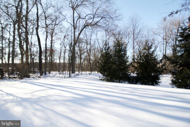 backyard - 318 Walden Cir Unidad 318