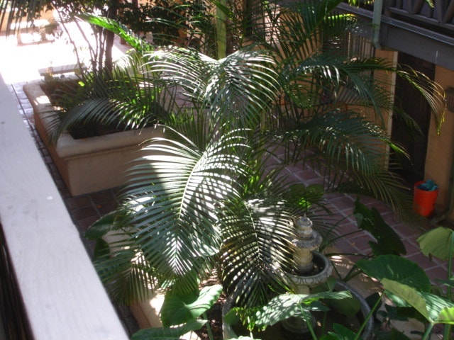 Photo - 1460 N Mansfield Ave Unit 101