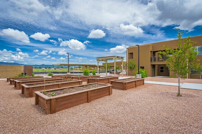 Jardín comunitario