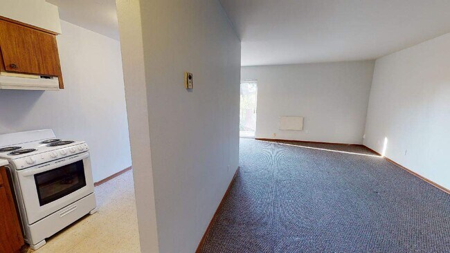 Photo - Carleton Tower