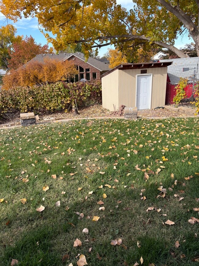 Back Yard - 1343 N Deerfield Dr