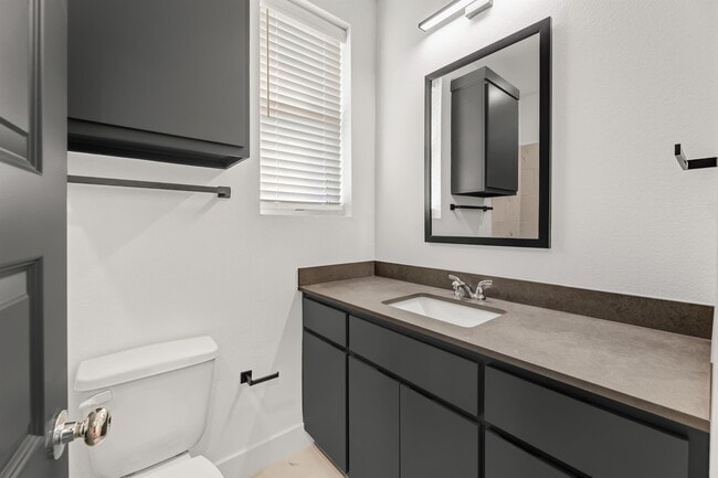 Photo - 3014 Alpha Wolf