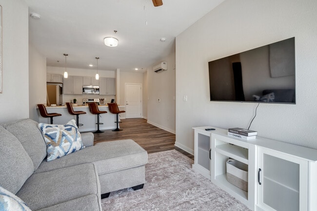 The Belleview - Student Friendly Housing
