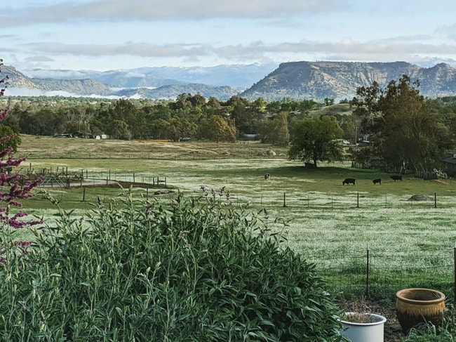 Wake up to this view! - 26180 Whispering Oak Ln Unit Talahi Studio