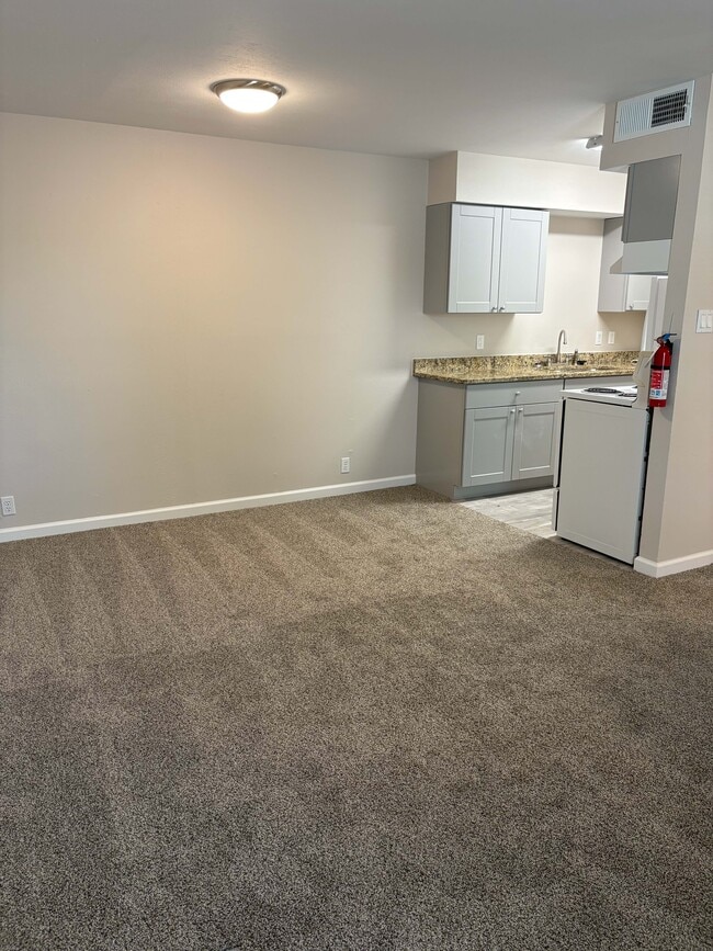 Studio-Kitchen Area