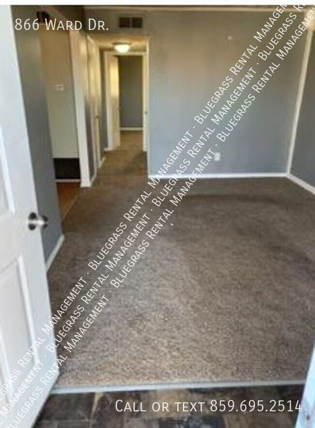 Stunning 2 bed 1 bath home in North Lexington Rental House Rental in