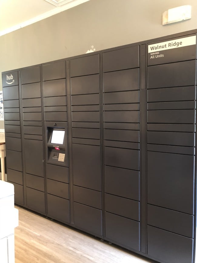 Walnut Ridge Apartments Raleigh, NC