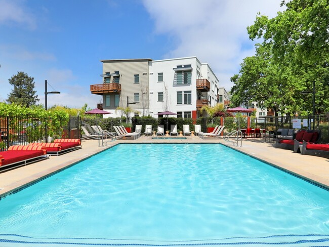 Resort Style Pool | Apartments in Santa Rosa, CA | Annadel Apartments - Annadel Apartments