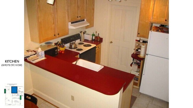 2947 Albemarle St NW Unit Bright English Basement Apartment