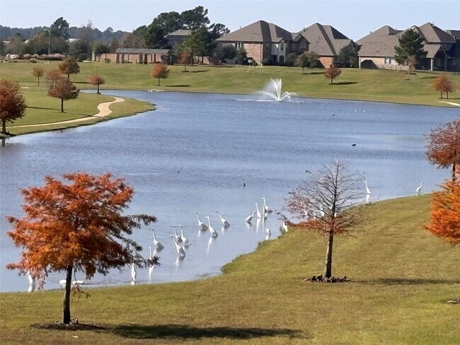 Photo - 7414 Evelyn Grv Dr