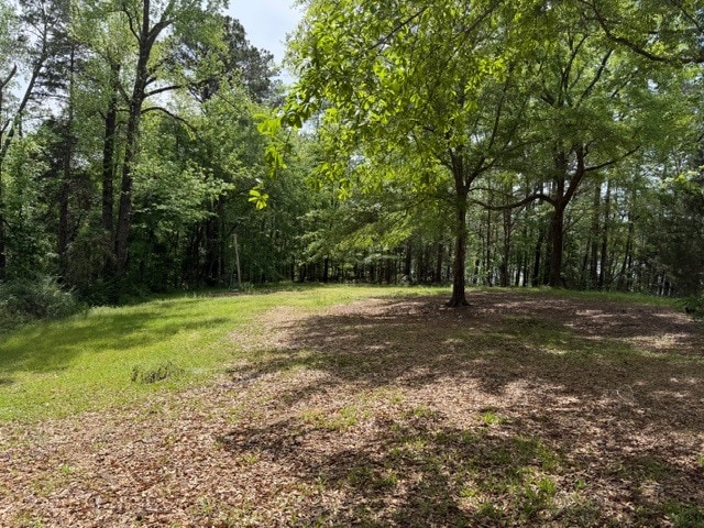 1158 Burt Loop Rd