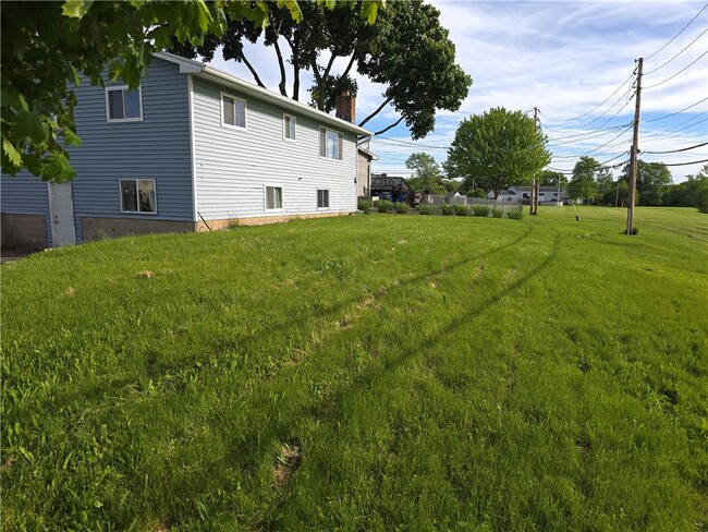 55 Agar Ave
