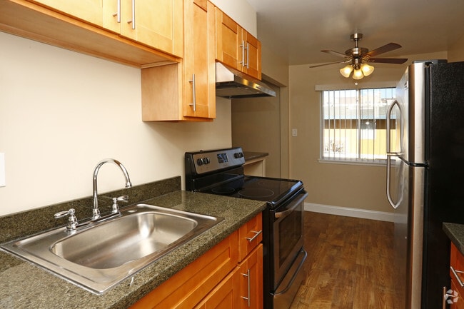 Photo - Palms at the Pruneyard