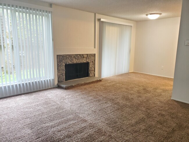 1X1 S Fireplace