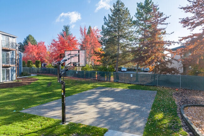 Cancha de básquetbol - Aloha Park