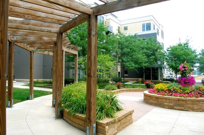 Vine Street Lofts