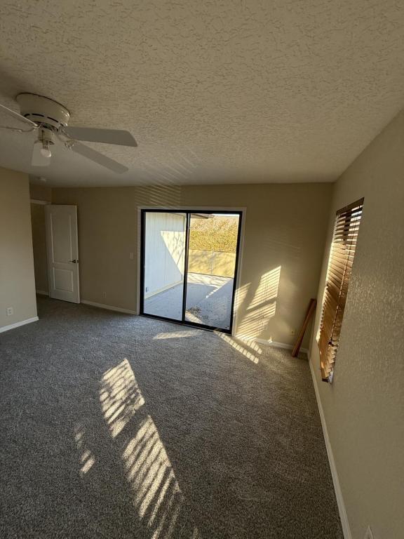 Photo - 1965 Dipol Courtway