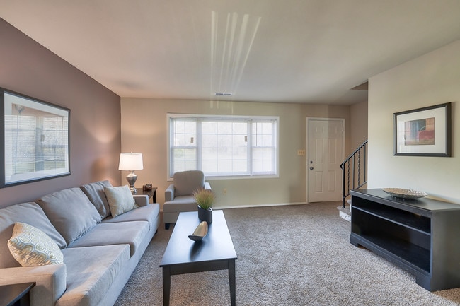 Williston Apartments & Townhomes