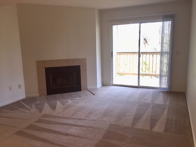 Loudoun Fireplace